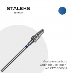 fraise staleks FT70B060-14 fraise nail shop