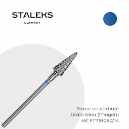 fraise staleks FT71B060-14 fraise nail shop