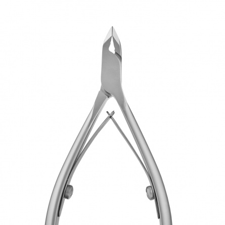 fraise nail shop staleks NS-31-4 8