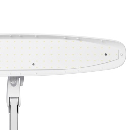 lampe-4blanc-fraise-nail-shop-17