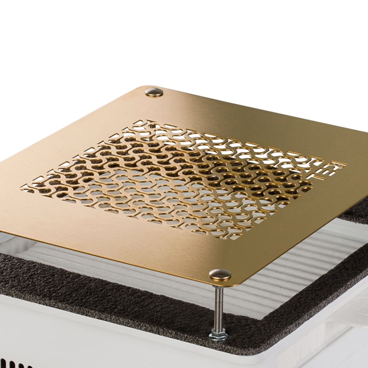 grille-dore-encastrable-teri-fraise-nail-shop-2