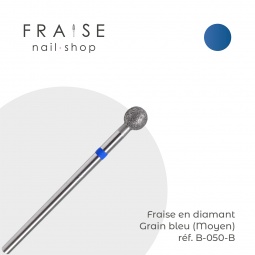 fraise B050B fraise nail shop