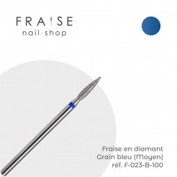 fraise F023B100 fraise nail shop