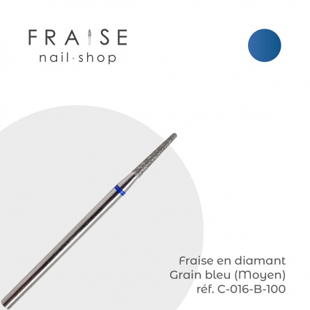 fraise C016B100 fraise nail shop