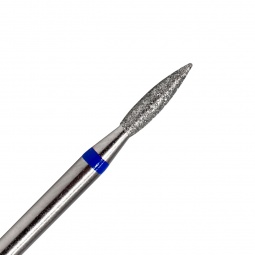 fraise F021B fraise nail shop 2