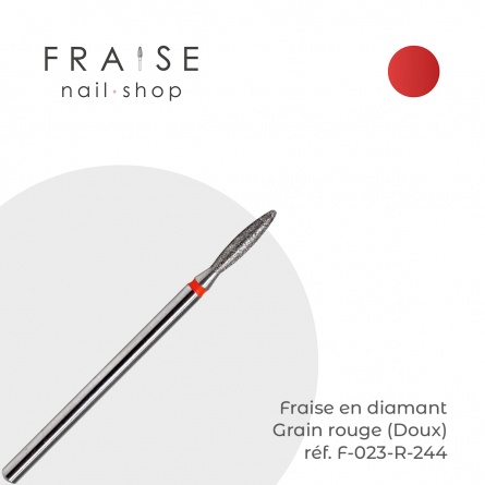 fraise F023R244 fraise nail shop