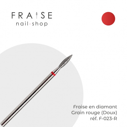 fraise F023R fraise nail shop