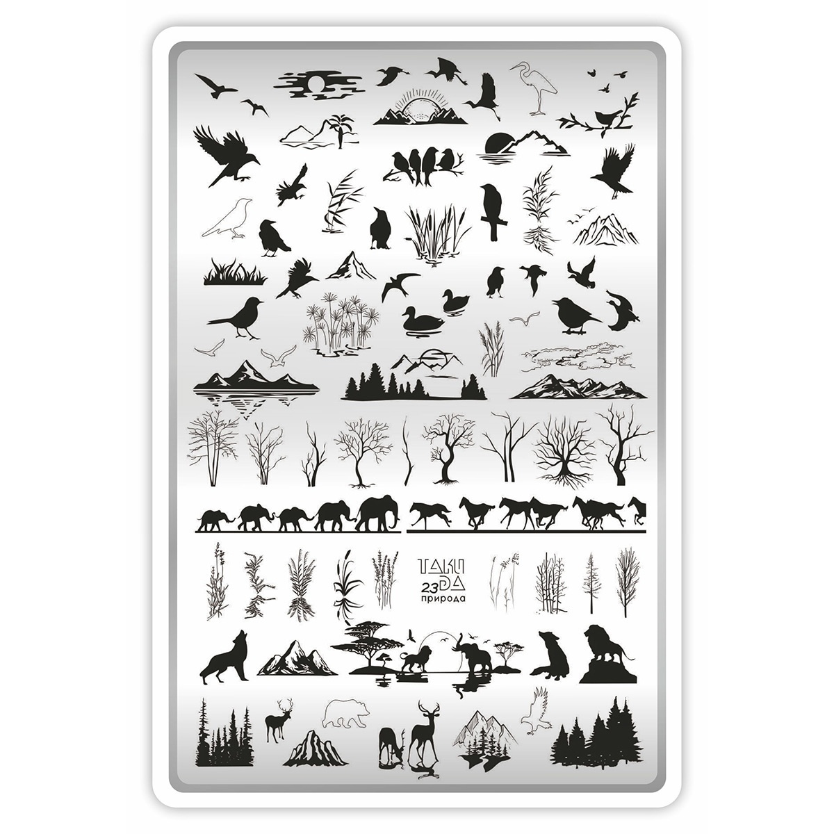 plaque stamping taki da 23 fraise nail shop