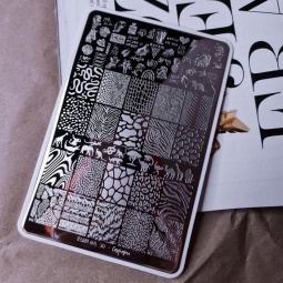 plaque stamping takida 30 fraise nail shop 3