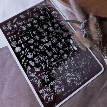 plaque stamping takida 31 fraise nail shop 2