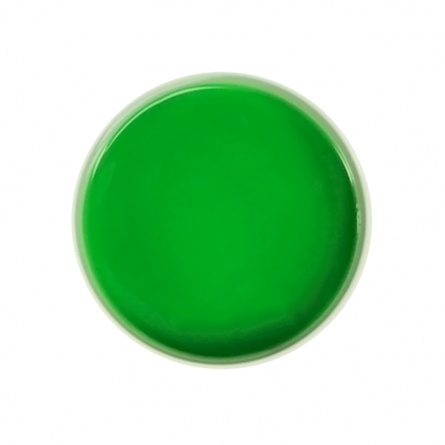 gel design vert neon fraise nail shop 2