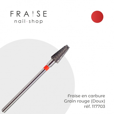 embout 117703 fraise nail shop