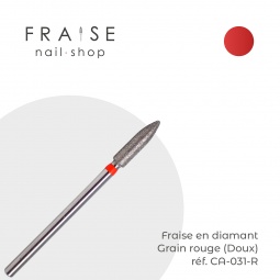 embout CA031R fraise nail shop