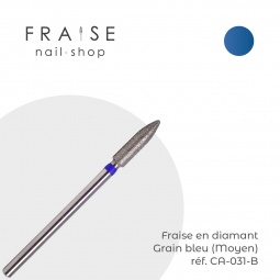 embout CA031B fraise nail shop